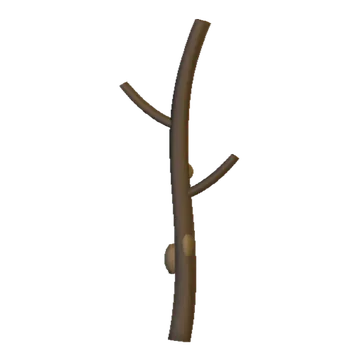 Fallen Branch