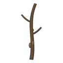 Fallen Branch