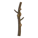 Surprisingly Sturdy Branch